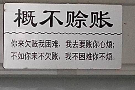 大渡口专业讨债公司有哪些核心服务？